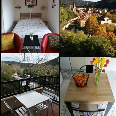 Coup De Coeur 3 Etoiles Terrasse Parking Wifi A 70 M Des Thermes אמלי-לה-באינס-פללדה
