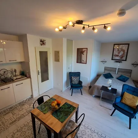 Coup De Coeur 3 Etoiles Terrasse Parking Wifi A 70 M Des Thermes * אמלי-לה-באינס-פללדה